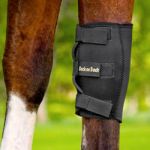 Protector rodilla derecho