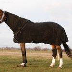 Cubre cuello, para manta fleece Cubre cuello, para manta fleece