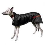 Manteau lévrier Greyhound